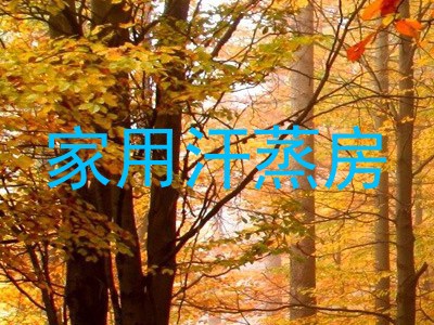 家用汗蒸房