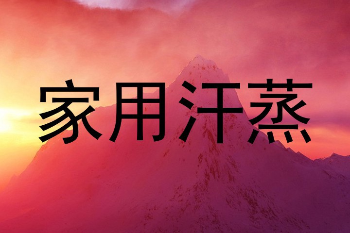 家用汗蒸