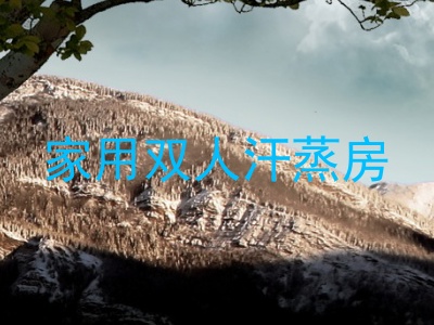 家用双人汗蒸房