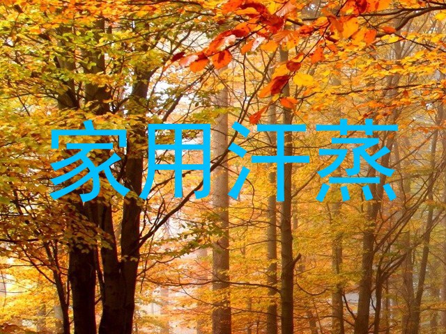 家用汗蒸