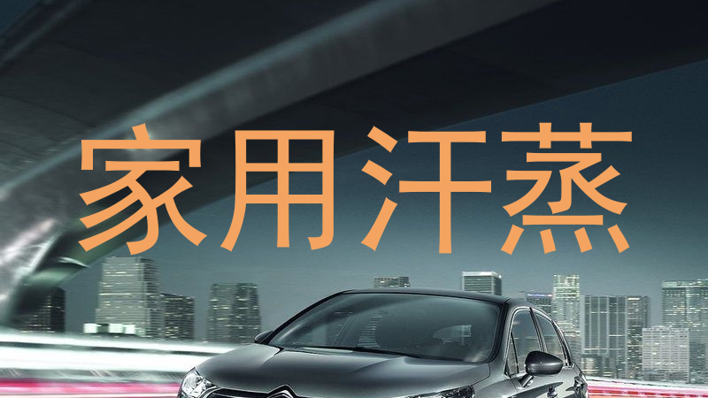 家用汗蒸