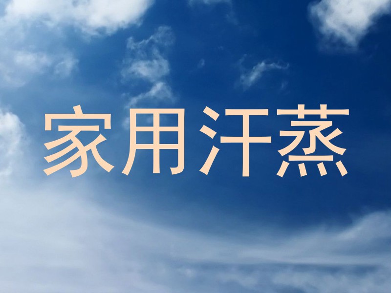 家用汗蒸