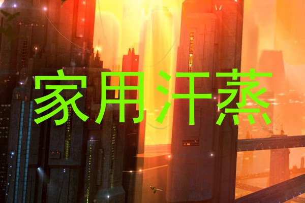 家用汗蒸