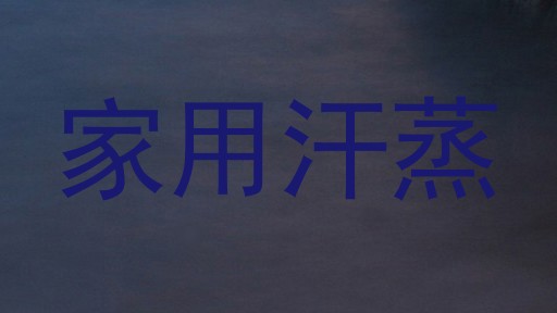 家用汗蒸