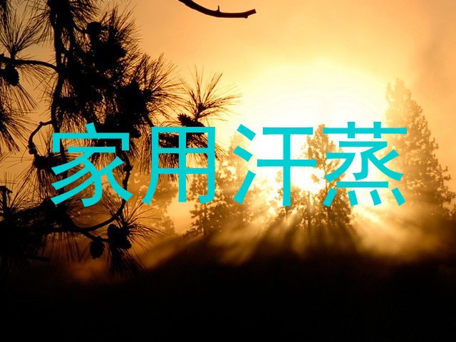 家用汗蒸
