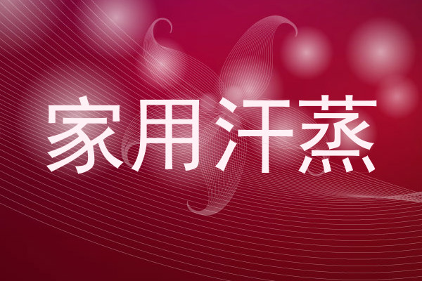 家用汗蒸