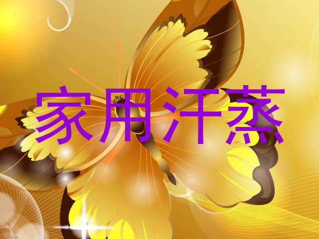 家用汗蒸