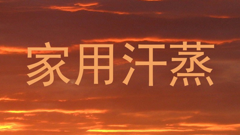 家用汗蒸