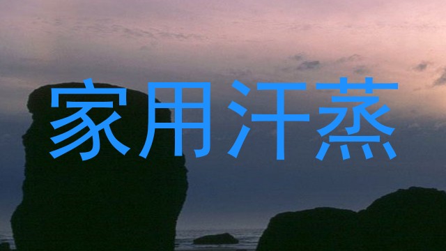 家用汗蒸