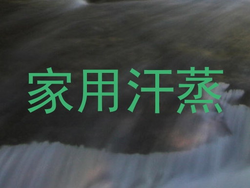 家用汗蒸