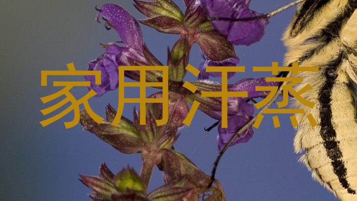 家用汗蒸