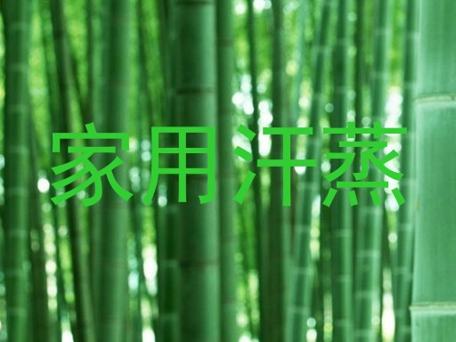 家用汗蒸