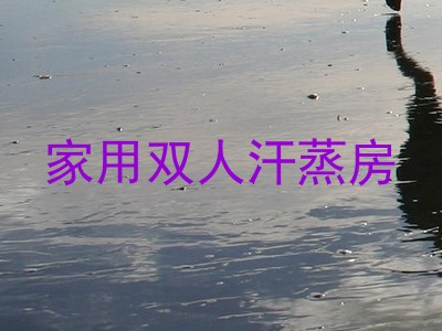 家用双人汗蒸房