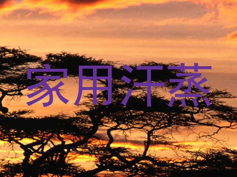 家用汗蒸