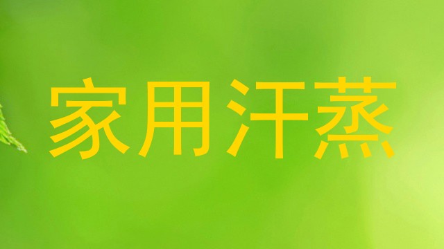 家用汗蒸