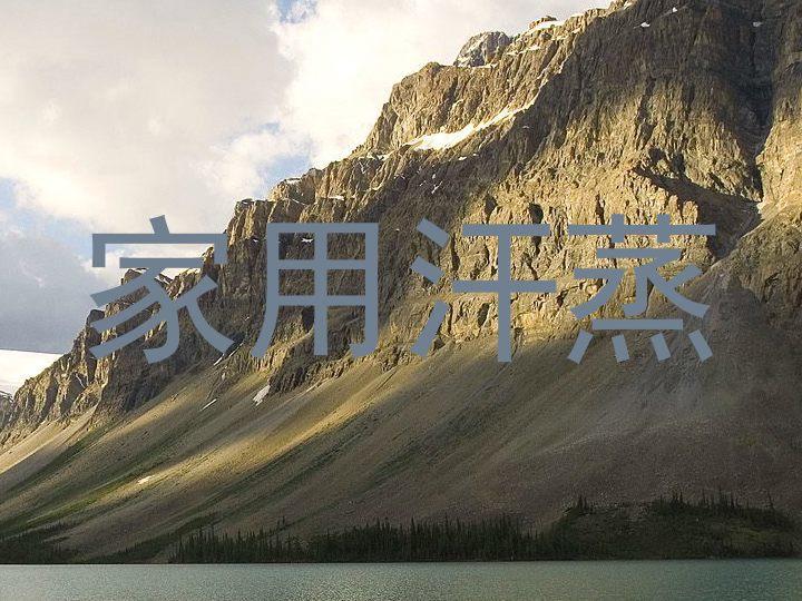 家用汗蒸
