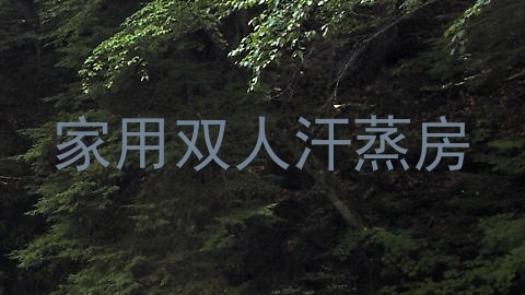 家用双人汗蒸房