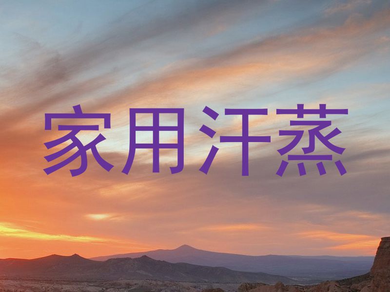 家用汗蒸