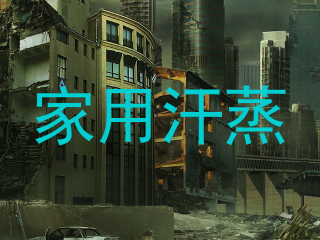 家用汗蒸