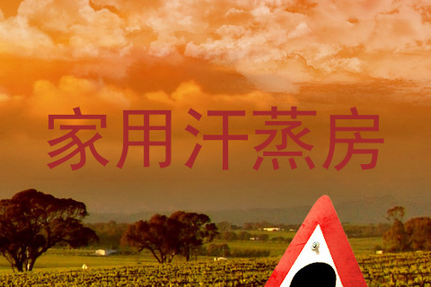 家用汗蒸房