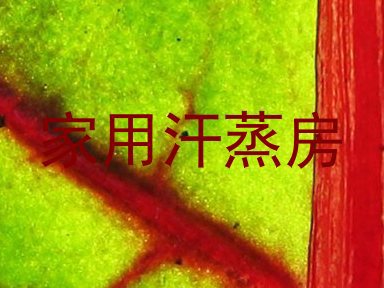 家用汗蒸房