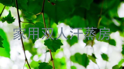 家用双人汗蒸房