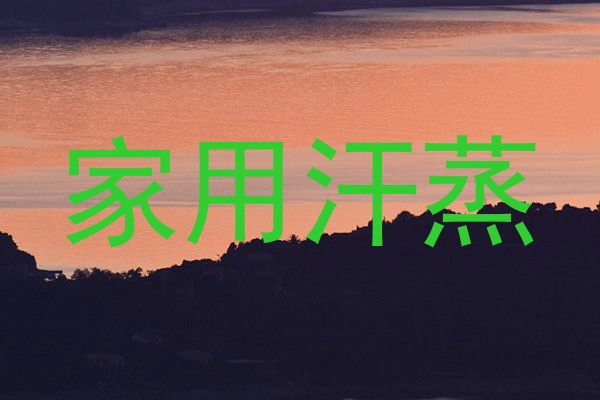 家用汗蒸