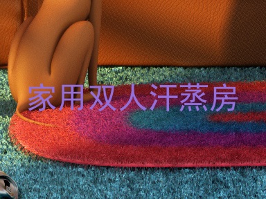 家用双人汗蒸房