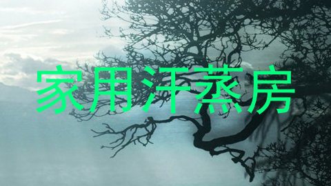 家用汗蒸房