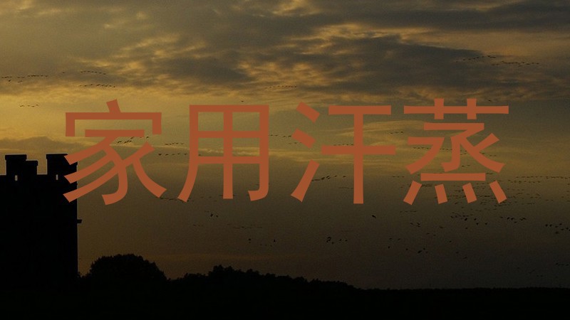 家用汗蒸