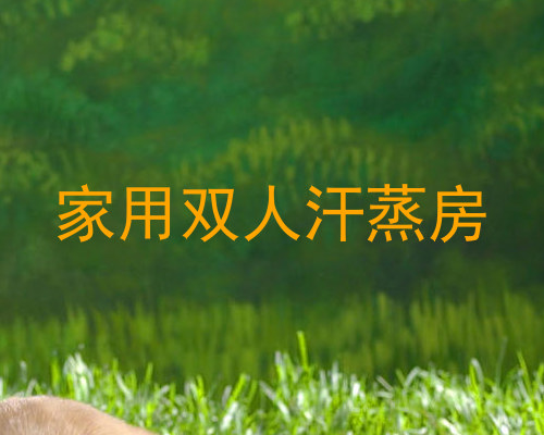 家用双人汗蒸房