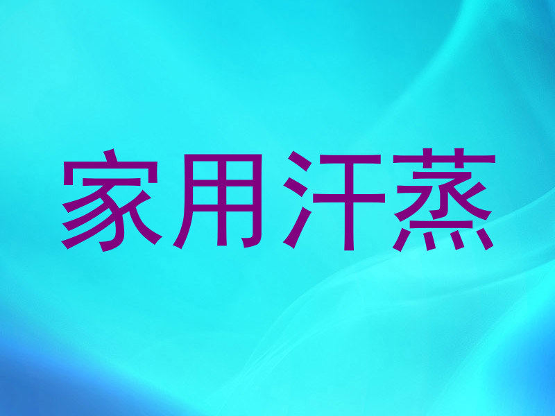 家用汗蒸