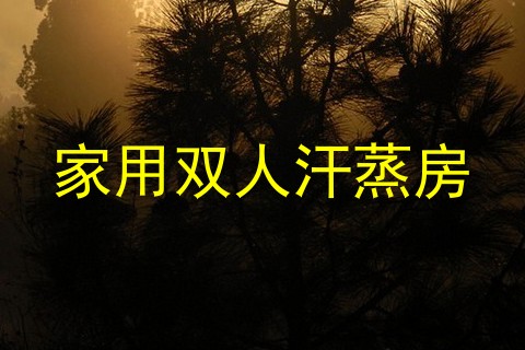 家用双人汗蒸房