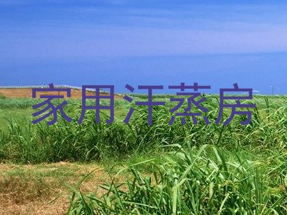 家用汗蒸房