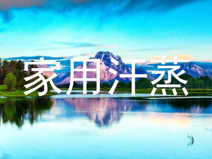 家用汗蒸