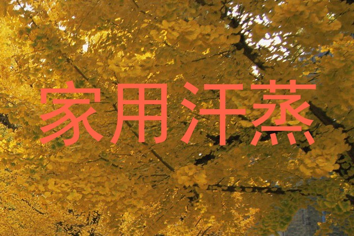 家用汗蒸