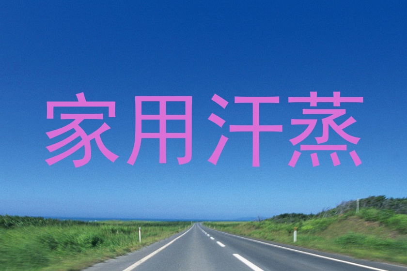家用汗蒸