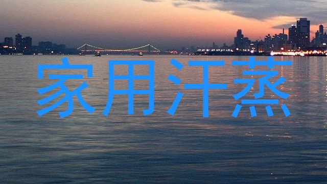 家用汗蒸