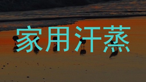 家用汗蒸