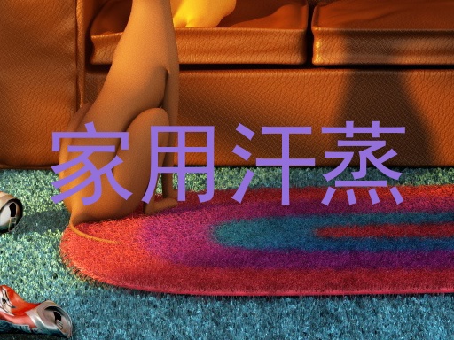 家用汗蒸