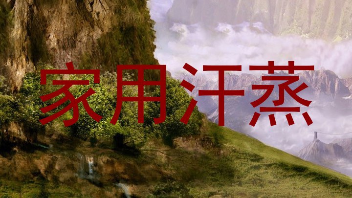 家用汗蒸