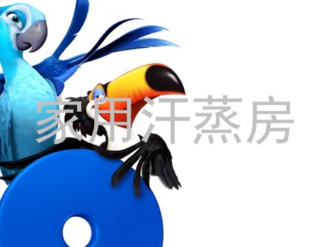 家用汗蒸房