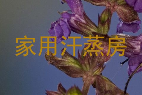 家用汗蒸房