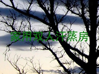 家用双人汗蒸房