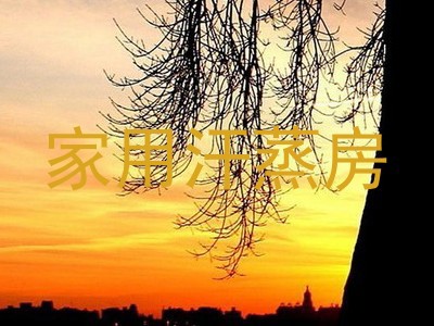 家用汗蒸房