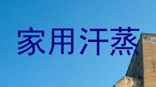 家用汗蒸