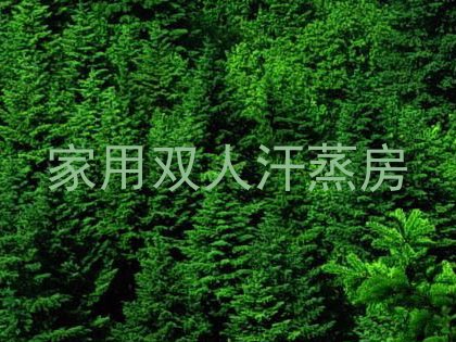 家用双人汗蒸房