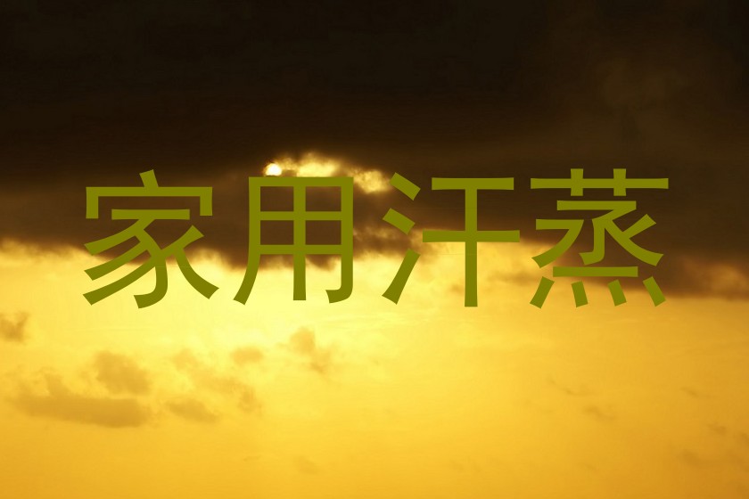 家用汗蒸