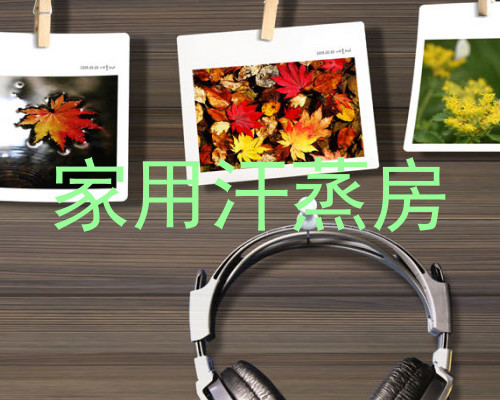 家用汗蒸房