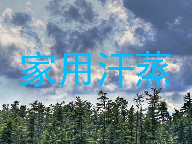 家用汗蒸